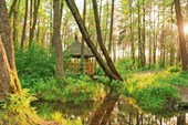 Орловское Полесье