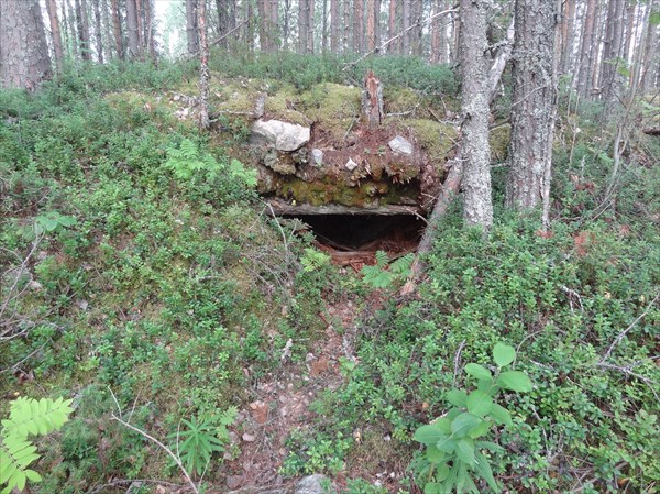 Шрамы войны.