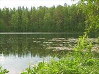 Тишина