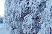 снежная зима Финляндии