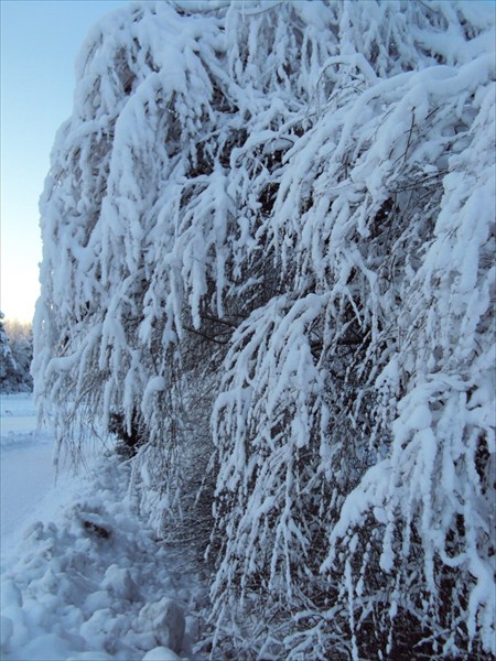 снежная зима Финляндии
