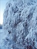 на фото: снежная зима Финляндии