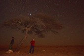 Недалеко нашли дерево и сделали ночное фото на память