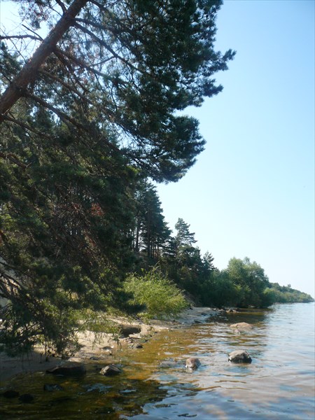 Дер. Ларионово, Рыбинское водохр