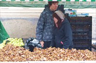 Вам вешенок взвесить?