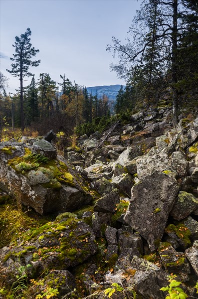 Камни посреди леса