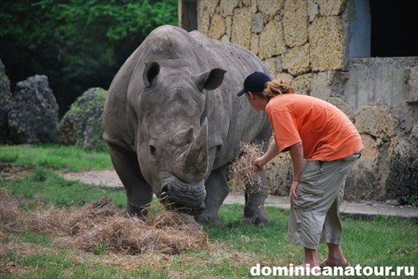 на фото: Носорог и Ильич в зоопарке Санто-Доминго