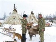 Три дня у кочевых оленеводов Крайнего Севера