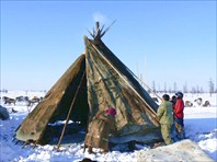 Подъем нюков.