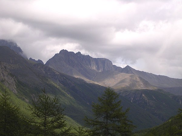 alpinistki