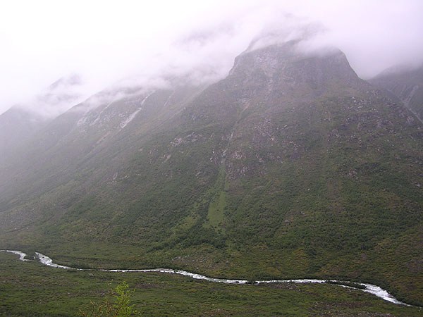 sygykta