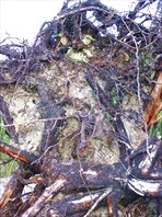 Абстракция