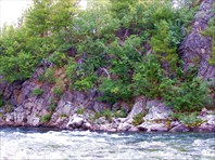 Мокрая Сыня