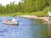 Проводка по Сыне