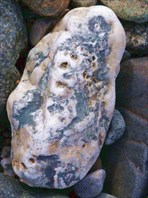 Камея с красавицей