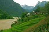 IMG_2407_5