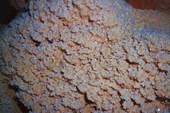 DSCN5669_resize