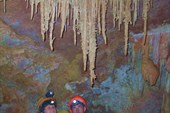 DSCN5685_resize