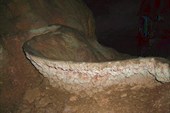 DSCN5693_resize