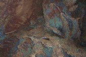 DSCN5696_resize