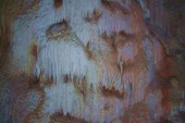 DSCN5715_resize