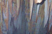 DSCN5722_resize