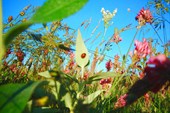 DSCN5891_resize
