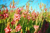 DSCN5893_resize