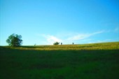 DSCN5900_resize