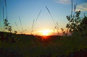DSCN5901_resize