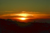 DSCN5910_resize
