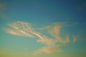DSCN5916_resize