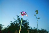 DSCN5933_resize