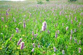 DSCN5949_resize