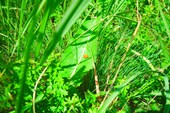 DSCN5963_resize