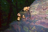 DSCN6042_resize
