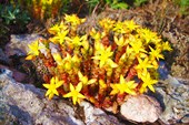 DSCN6047_resize