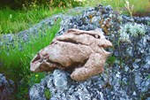 DSCN6078_resize