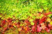 DSCN6083_resize