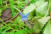 DSCN6124_resize