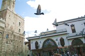 Голуби у мечети Оймеядов в Дамаске