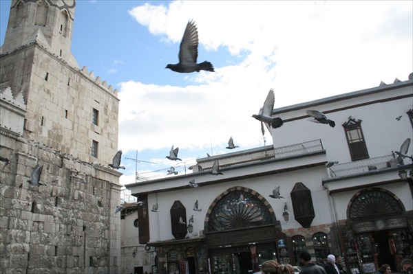 Голуби у мечети Оймеядов в Дамаске