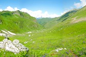 IMG_3255pan