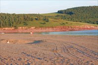 П.Беллык с песочными пляжами и сосновыми борами-республика Хакасия