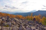 Курумник под Серебрянкой