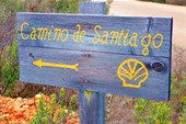 WP-Camino-sign-1024x700@2x