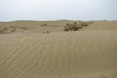 IMG_5099