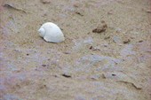 IMG_5114