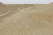 IMG_5122