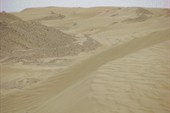 IMG_5125